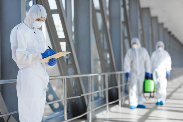 Best Mold Odor Removal Services  in Moorhead, MS