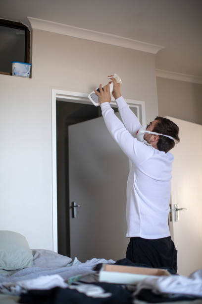 Reliable Moorhead, MS Mold Removal Solutions