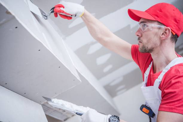 Best Biohazard Mold Removal  in Moorhead, MS